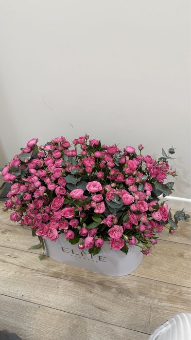 продам цветы кустовые розы
