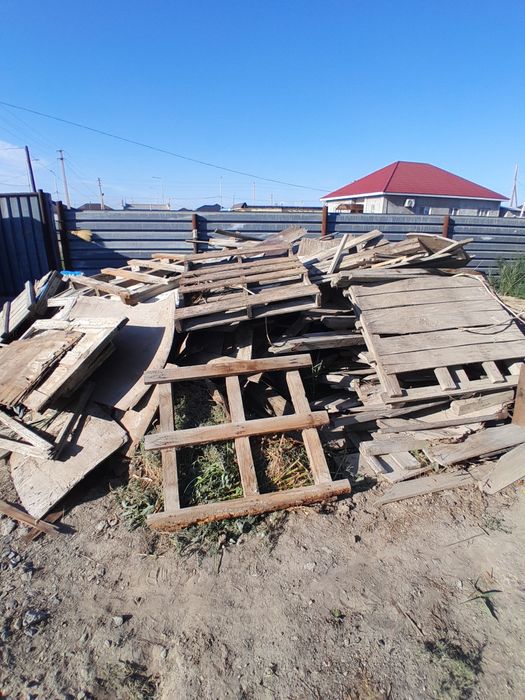 Ағаштар тегін тегін тегін