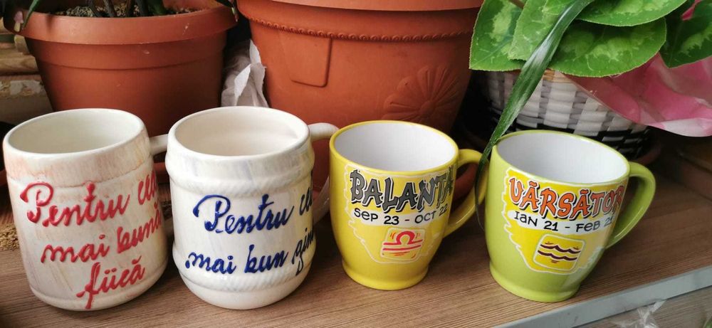 Cani cu mesaje pentru familie, prieteni, fantezie si perne decorative