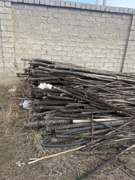 Хезум сотилади.Келиштириб берилади.