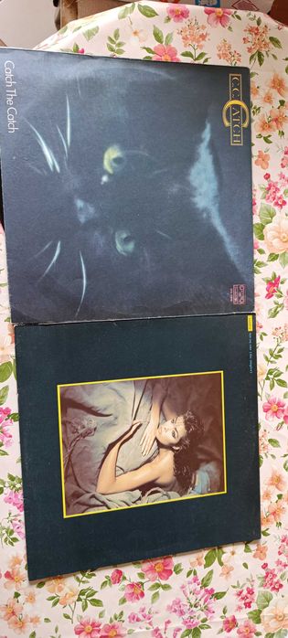 Грамофонни плочи