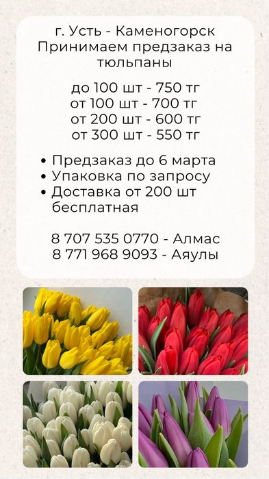 Тюльпаны предзаказ