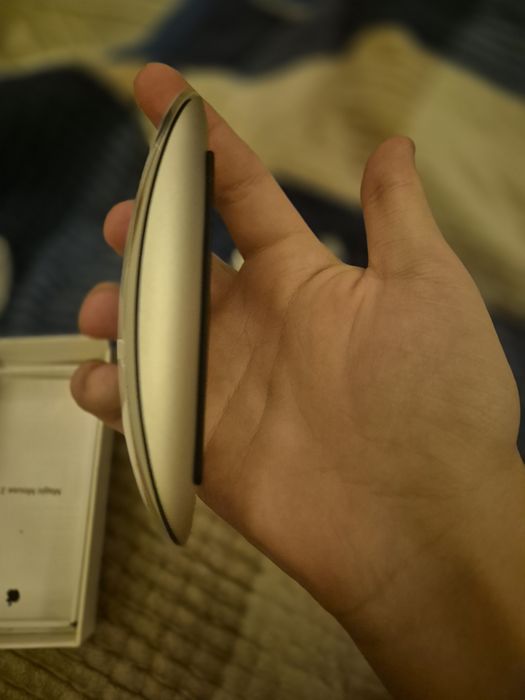 Apple magic mouse 2
