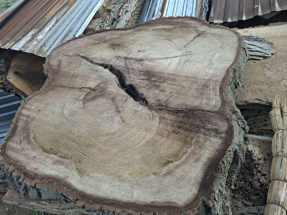 Слэбы орех торцевые спилы орех