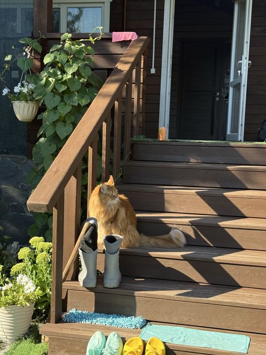 Зимний Дом. Бухтарма