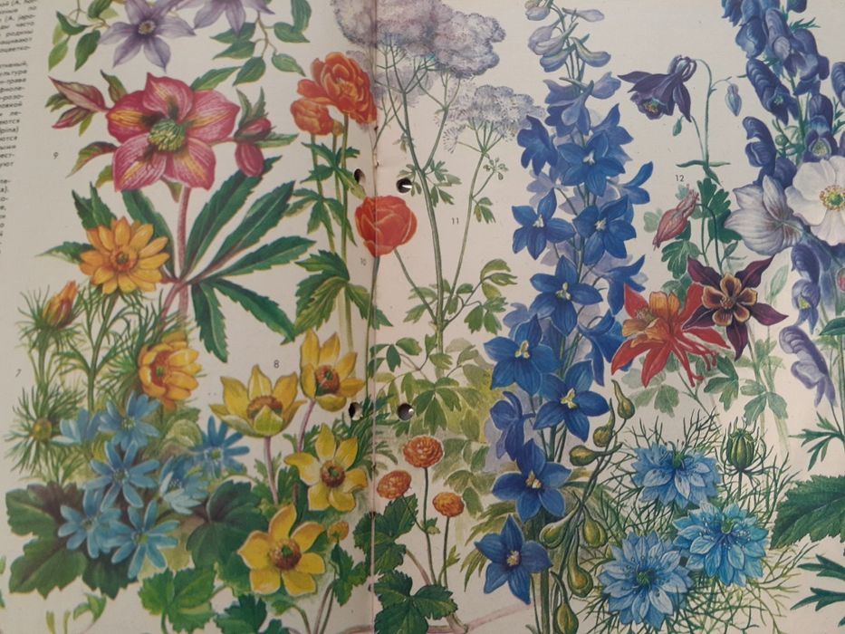 Журнал цветоводство