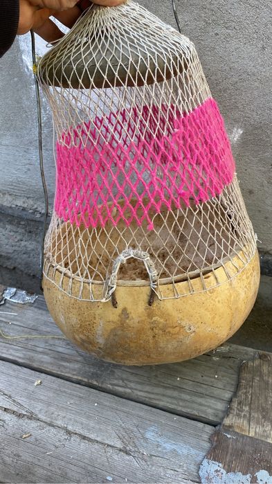 Продам перепелок поющих