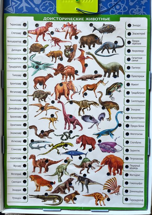 Игра для детей Conector Животный мир