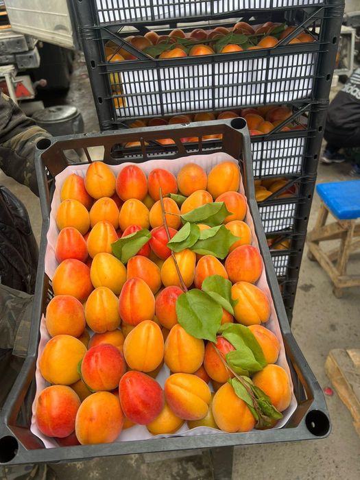 Доставка овощи фрукты