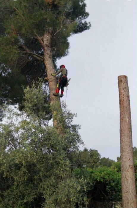 Curățări terenuri