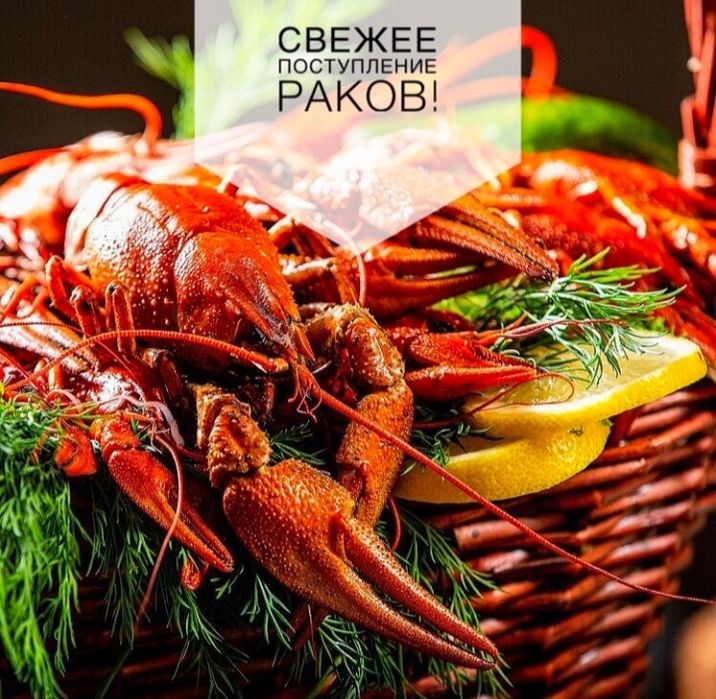 Продаются продаю продам