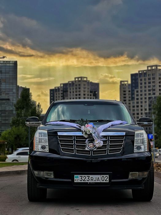 Выписка из роддома , машины премиум класса