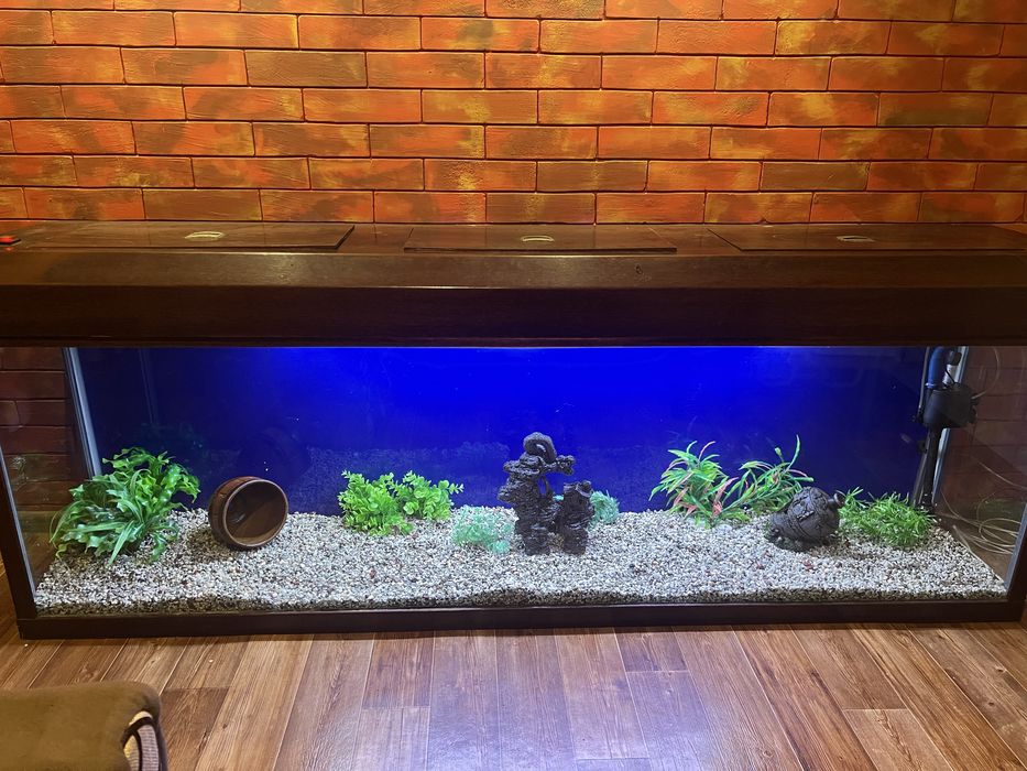 Аквариум на 600 литров