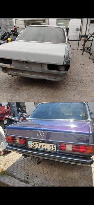 Костоправ моляр, покраска