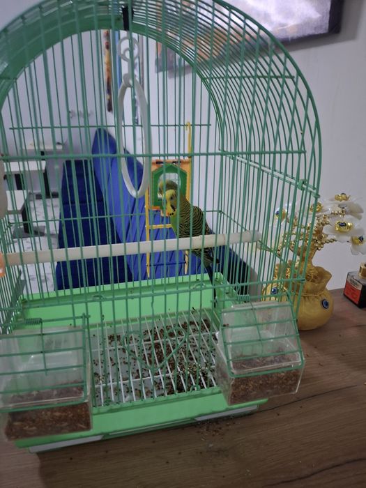 Попугай с клеткой 9.000