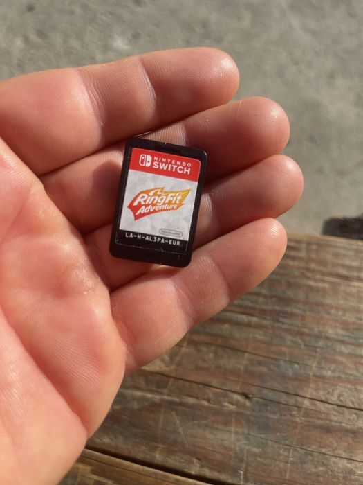 Nintendo Switch Ring Fit Adventyre