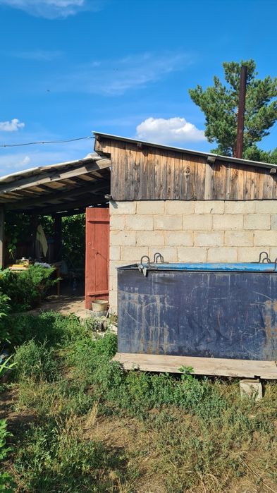 Дача С/о Алтайский энергетик