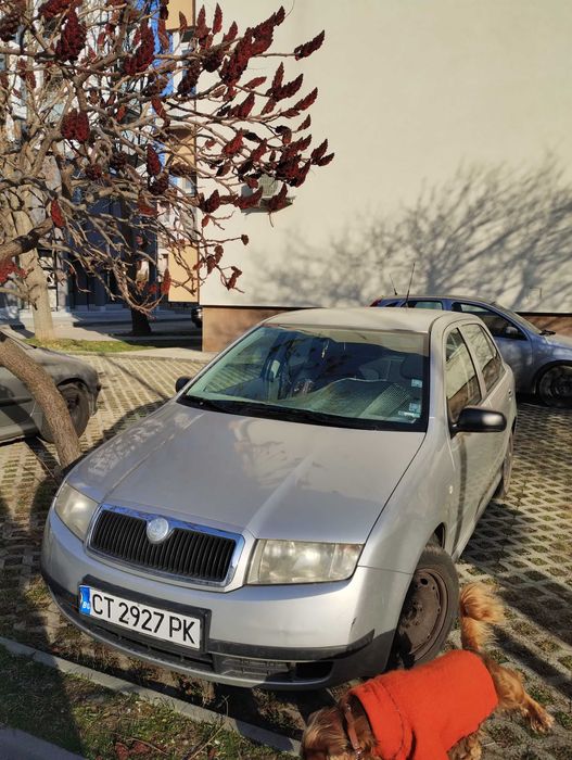 Шкода Фабия хечбег