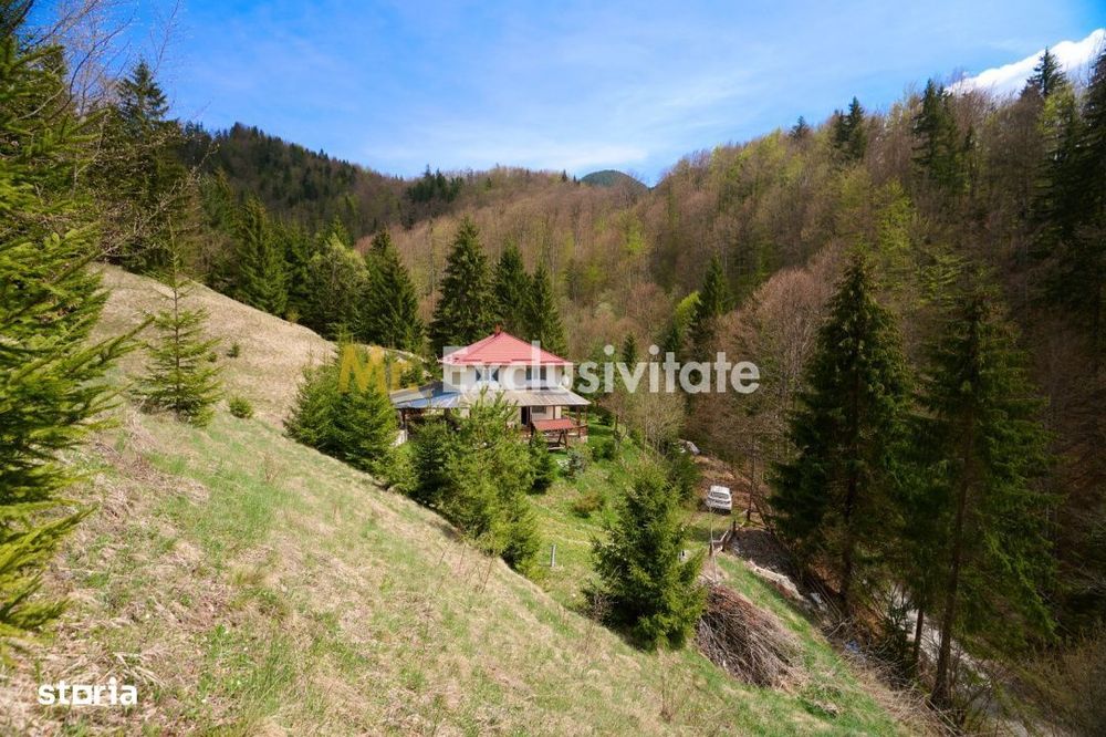 Casa de vacanta sau pensiune in Dâmbovicioara 5 camere, 5 bai, 6412 mp