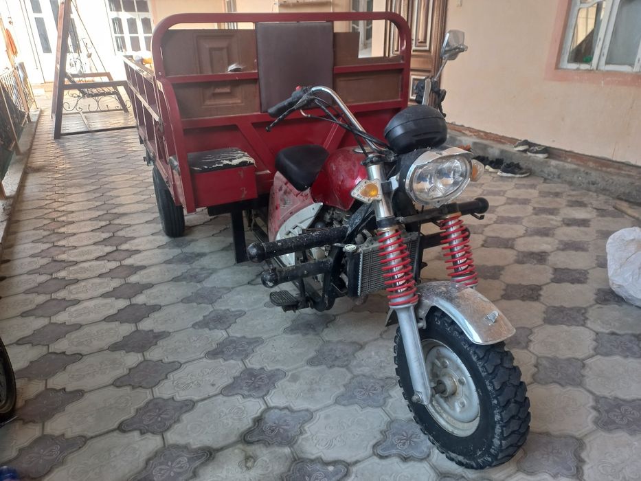 Муравей, New Star