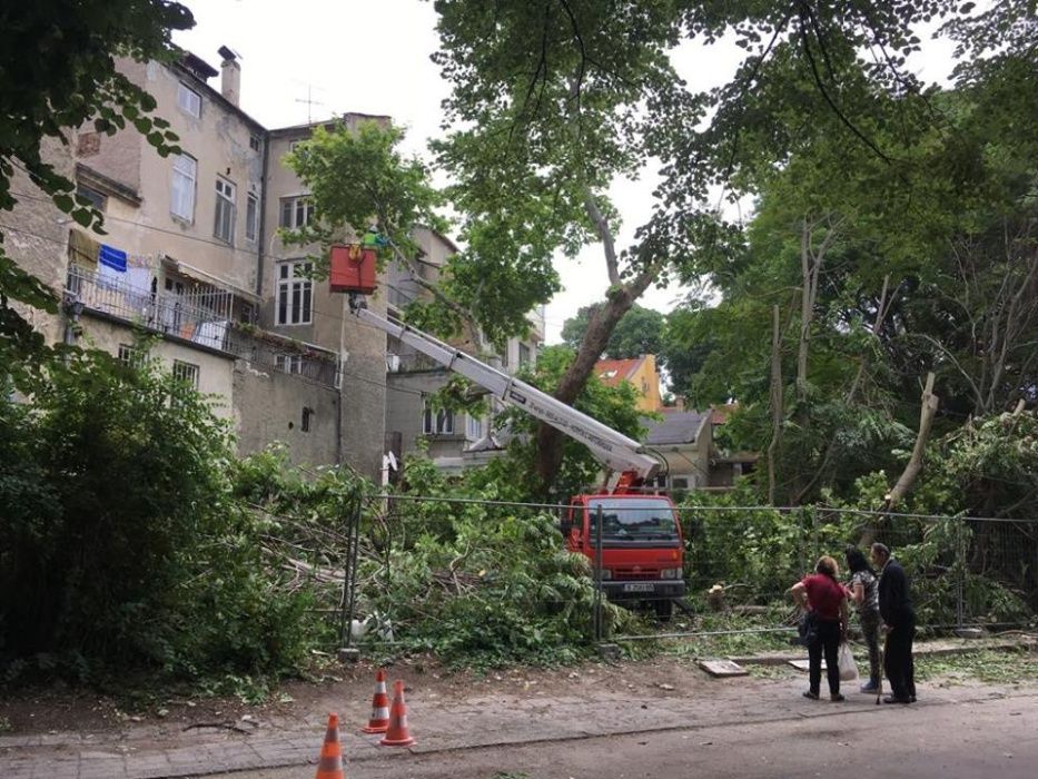Рязане на дървета , Косене на трева, почистване на терени Варна