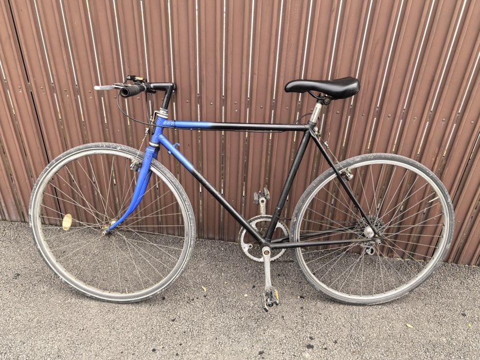 Semicursiera Villiger