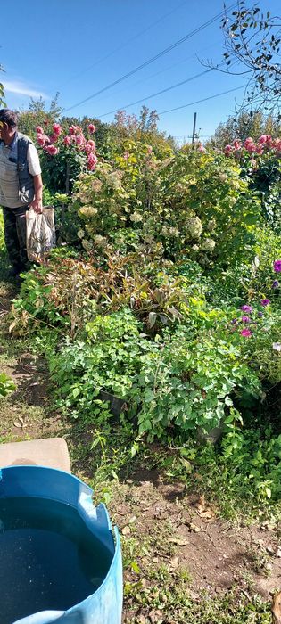 Продам  дачу сад Металург  750 000