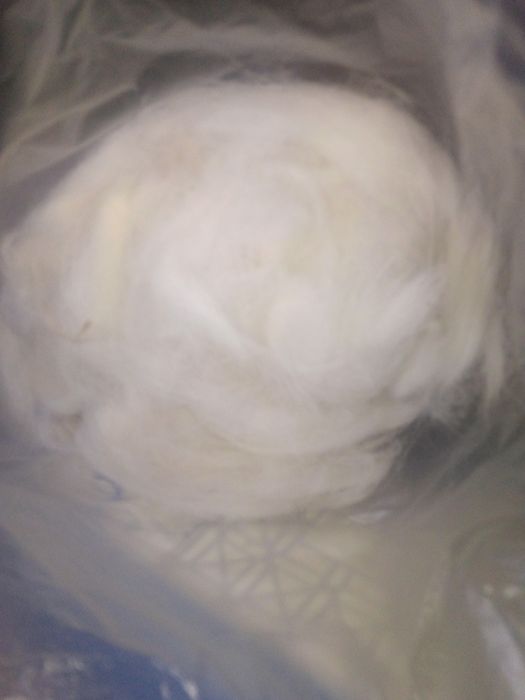 Подшерсток собачий (алабай)