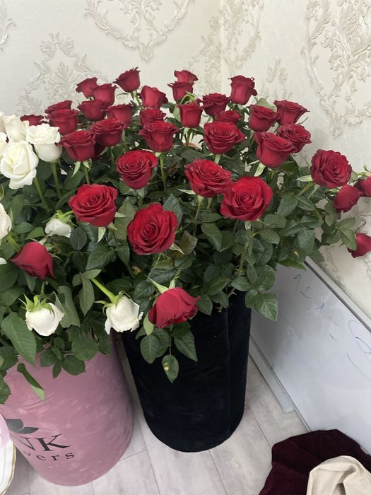 Голландские розы