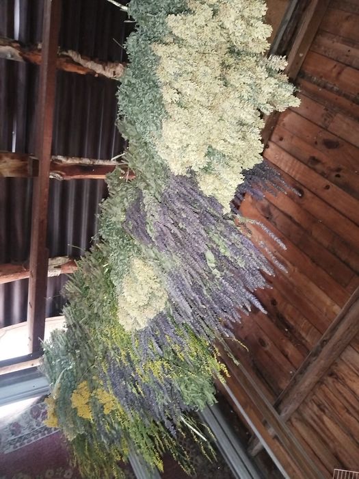 В продаже травы лечебные