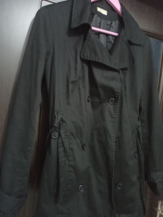 Cojocel/jacheta neagra