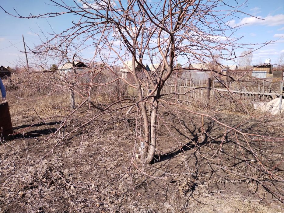 Продам хороший дачный участок