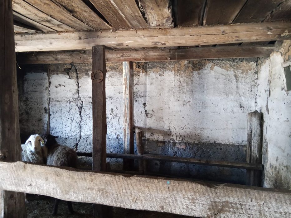 Продаю дом  село жанакала