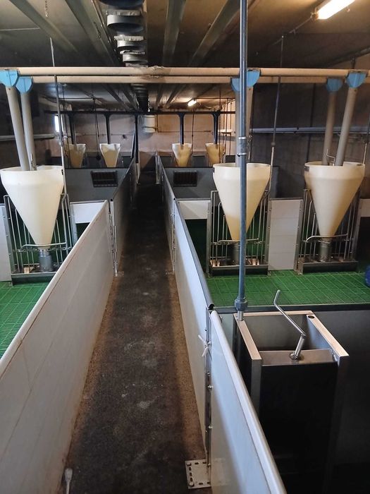 Boxe pentru fătare și furajare de vânzare