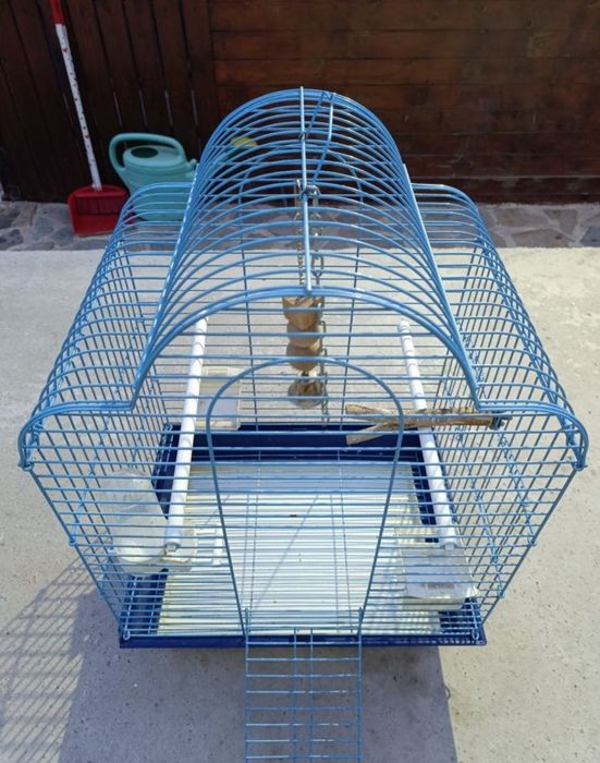 Cușca mare păsări