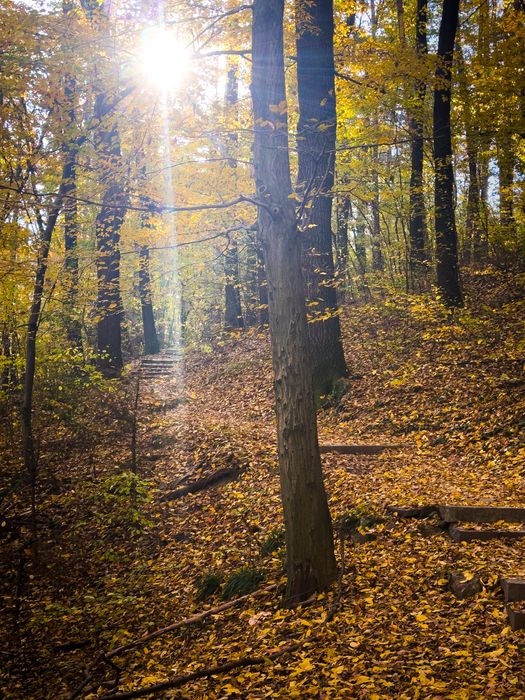 Фотограф от Габрово
