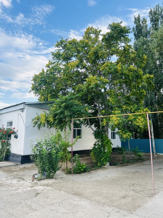 Уй сатылады Шанхай