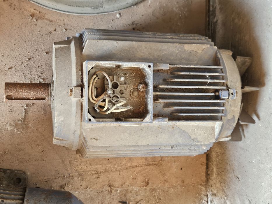 Ағаш кесетін Тайга Мотор