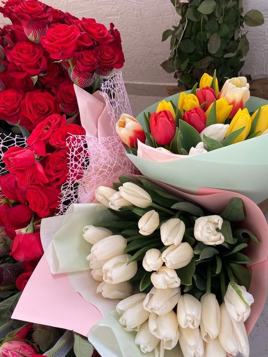 Тюльпан тюльпан цветы