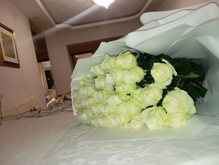 Роза гүл 31шт  1 метр