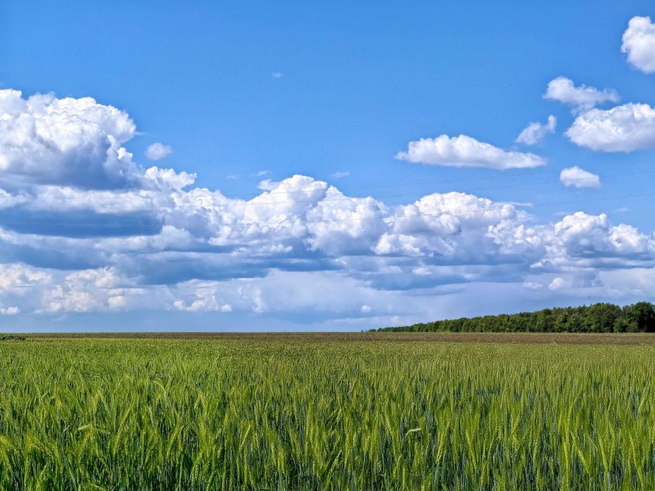 Продава се Парцел в Добрич, Автогара - 2869 кв.м за 7 €/кв.м - Снимка #3