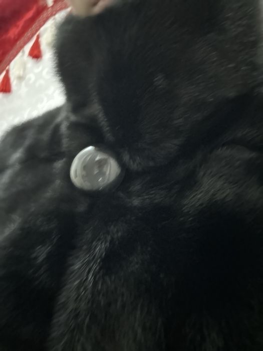 Продаеться новая шуба длиной 80см