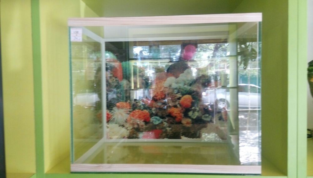 Аквариум на 15 литров