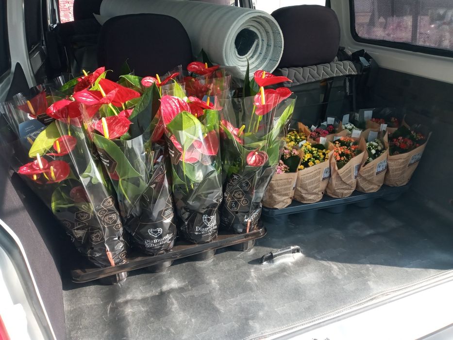 пассажирские и грузовые перевозки