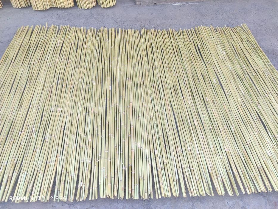 Qamish chiy boyra maxsuloti