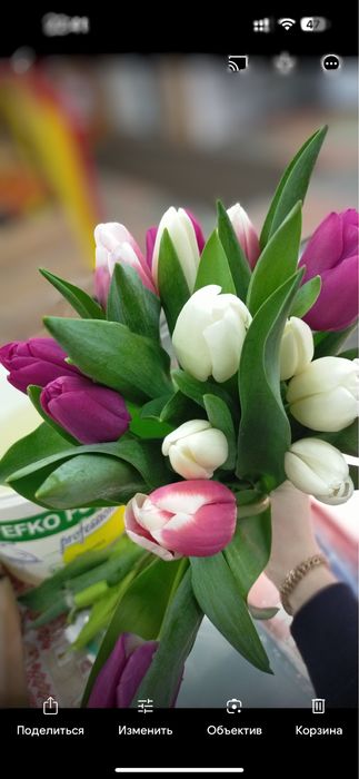 Тюльпаны премиум класса к 8 марта