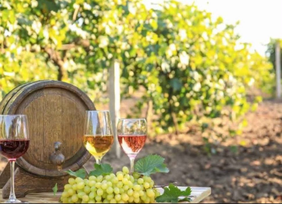 Vand struguri de vin