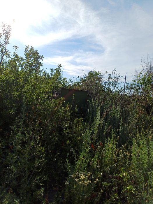 Продам дачу, район барбастау