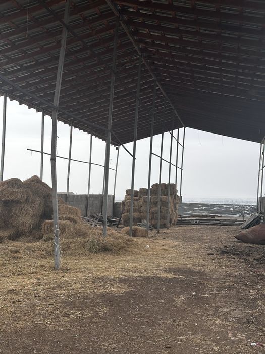 Фазенда для КРС и птицы