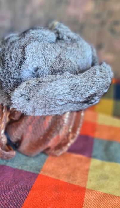 Шапка ушанка продаётся новая